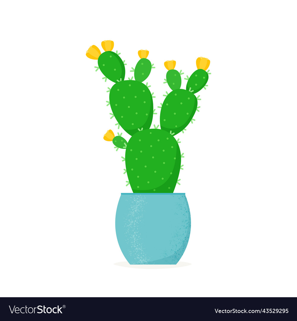 Flowered cactus in a flat style blossomed house vector image Flowered cactus in a flat style blossomed house