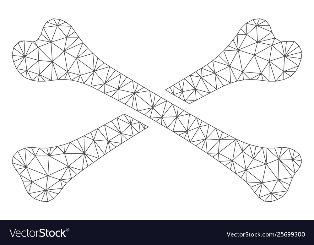 Bones polygonal frame mesh vector image Bones polygonal frame mesh