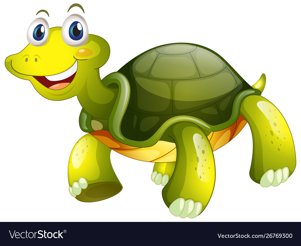 Cute tortoise on white background Royalty Free Vector Image