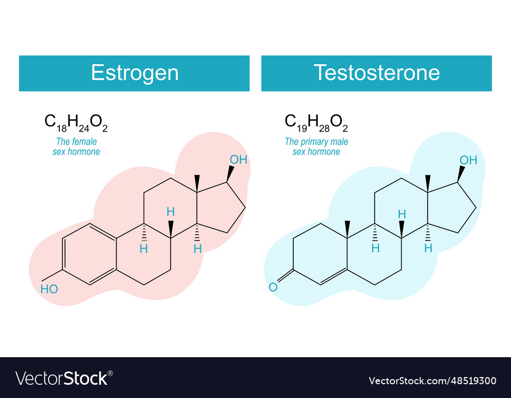 Testosteron- und Östrogenmoleküle