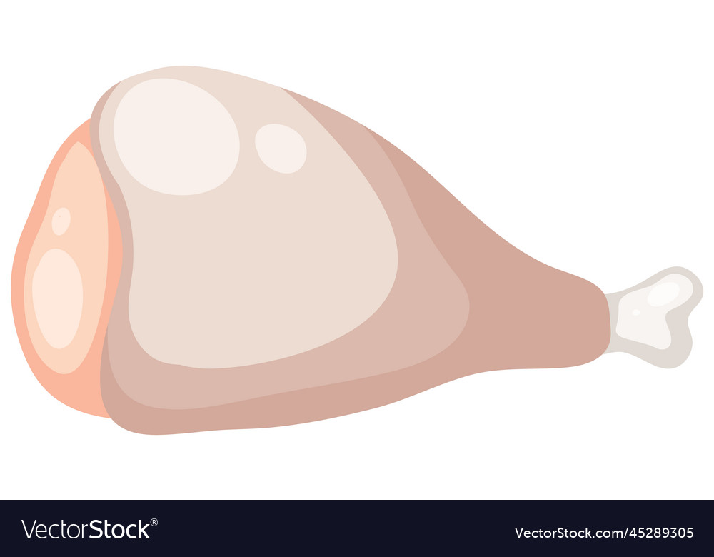 Raw Chicken Leg Royalty Free Vector Image Vectorstock