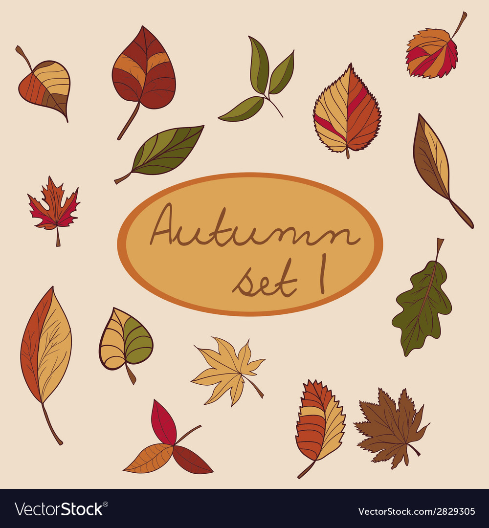 Set of autumn leaves for your design