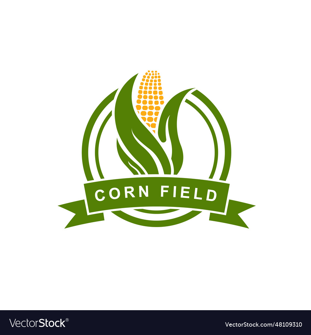 Corn logo design template