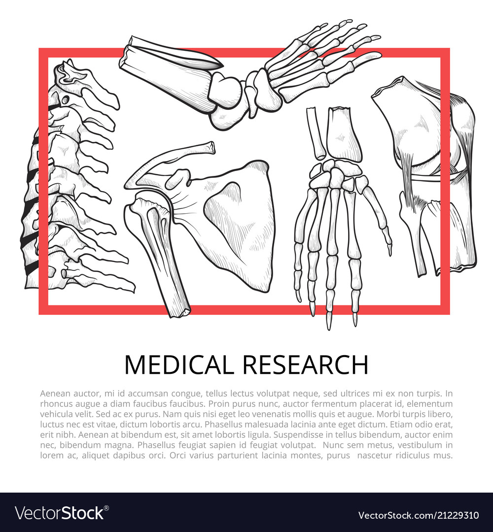 Medical Bone Banner Royalty Free Vector Image Vectorstock