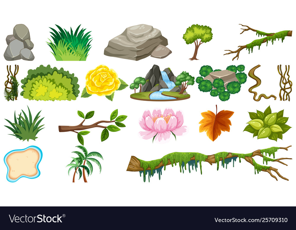 set-natural-objects-royalty-free-vector-image-vectorstock