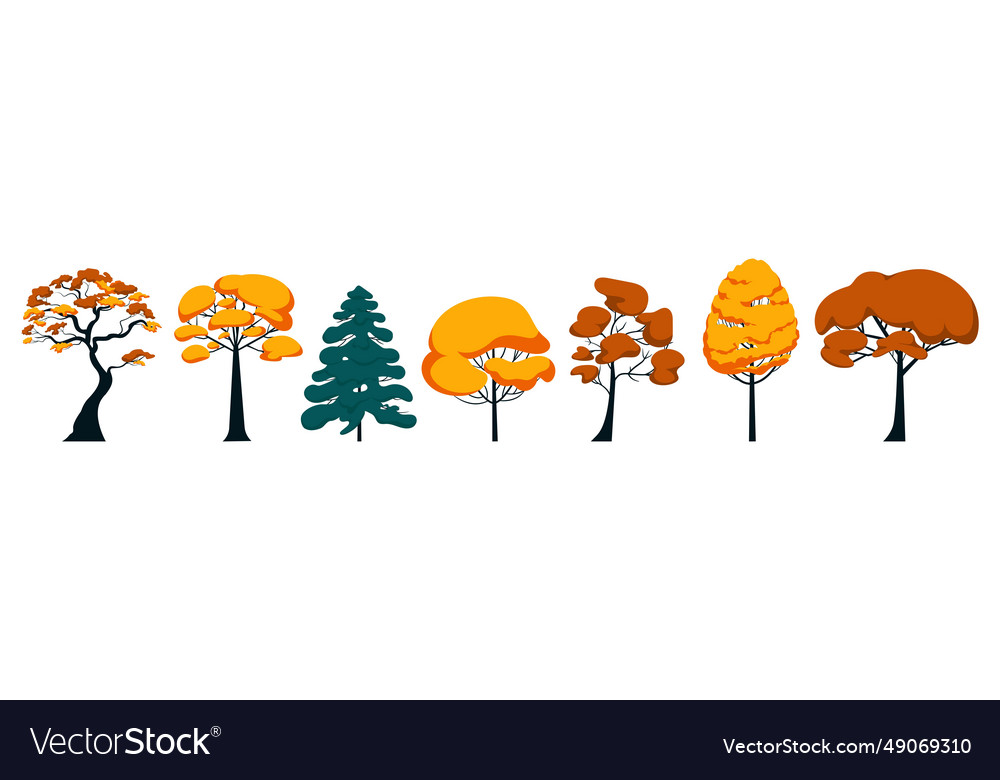 Set of different autumn trees pine and deciduous vector image Set of different autumn trees pine and deciduous
