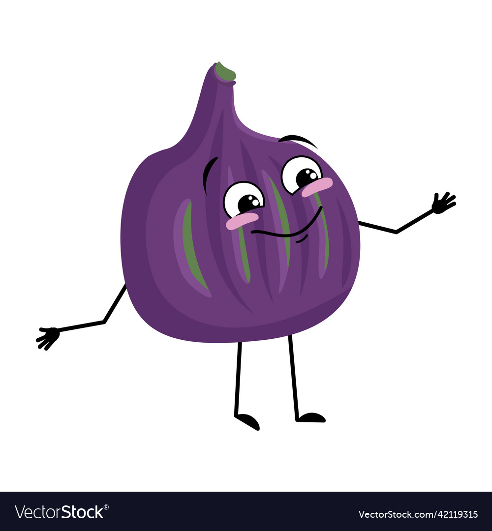 Fig character with happy emotion vector image Fig character with happy emotion