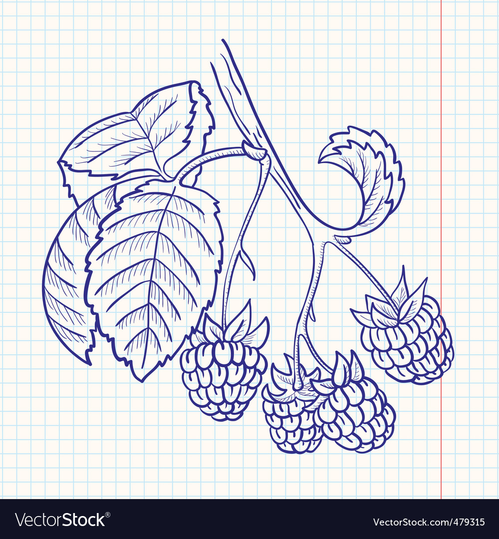 Raspberry