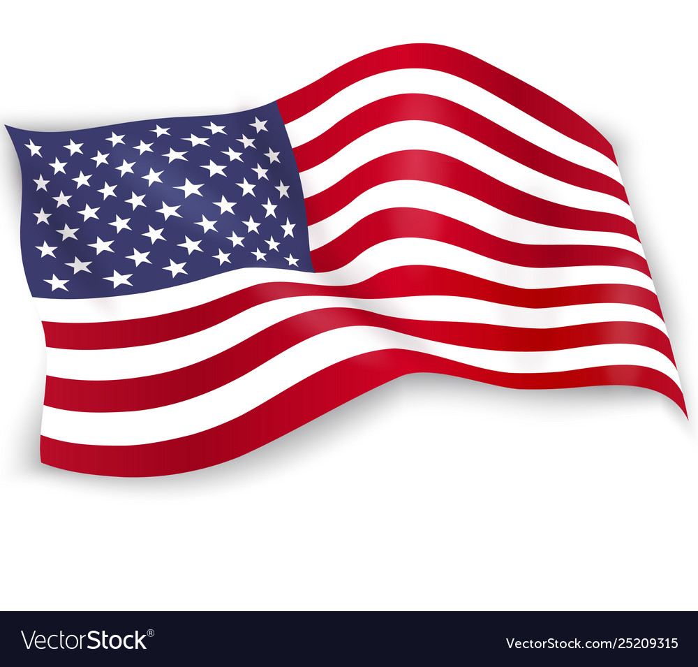 United states america flag isolated on white Vector Image