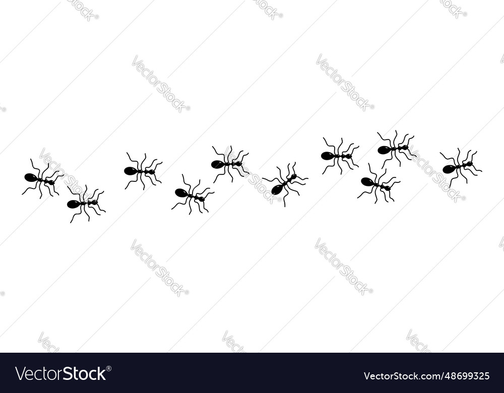 Ant trail a line of marching ants Royalty Free Vector Image