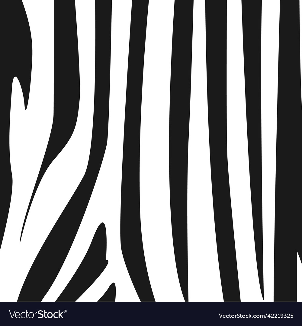 Zebra pattern on white background Royalty Free Vector Image