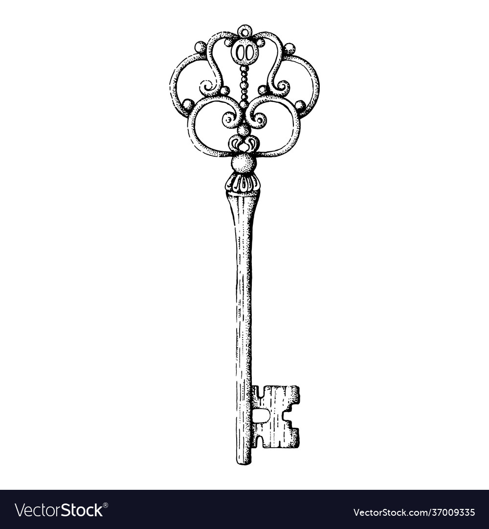 Old key black and white Royalty Free Vector Image