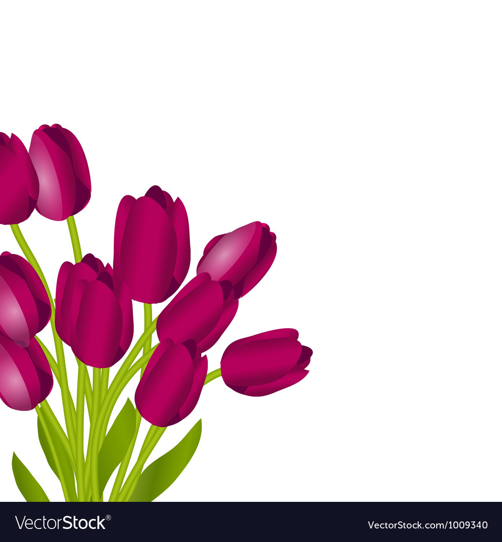 Floral background with tulips Royalty Free Vector Image