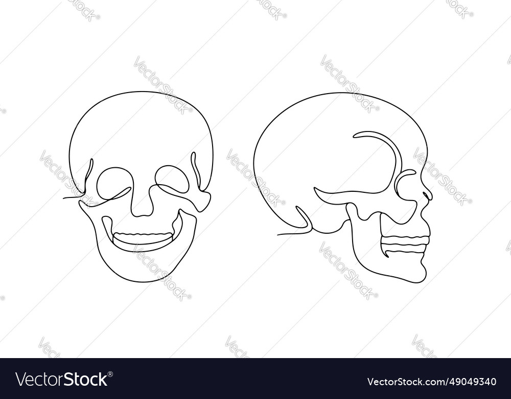 Human skull one line