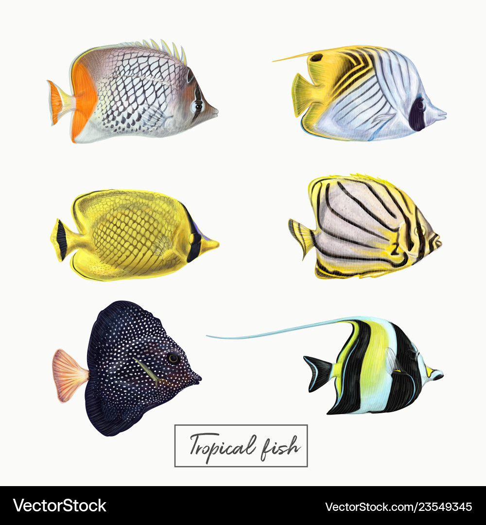 Bright colorful tropical fish Royalty Free Vector Image