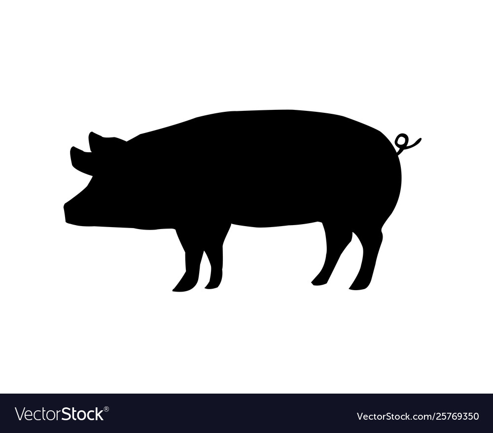 Pig shadow on a white backdrop Royalty Free Vector Image