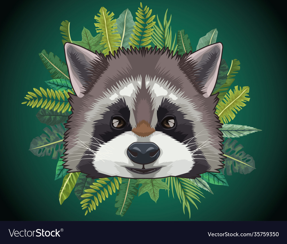 Raccoon animal wild head character with leafs