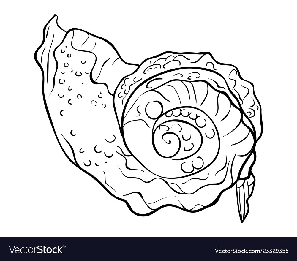 Adult coloring bookpage a cute shell Royalty Free Vector