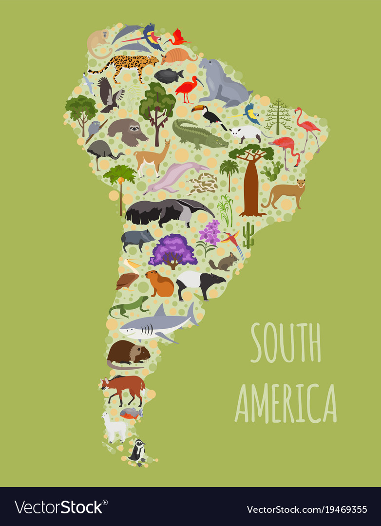 South america flora and fauna map flat elements Vector Image