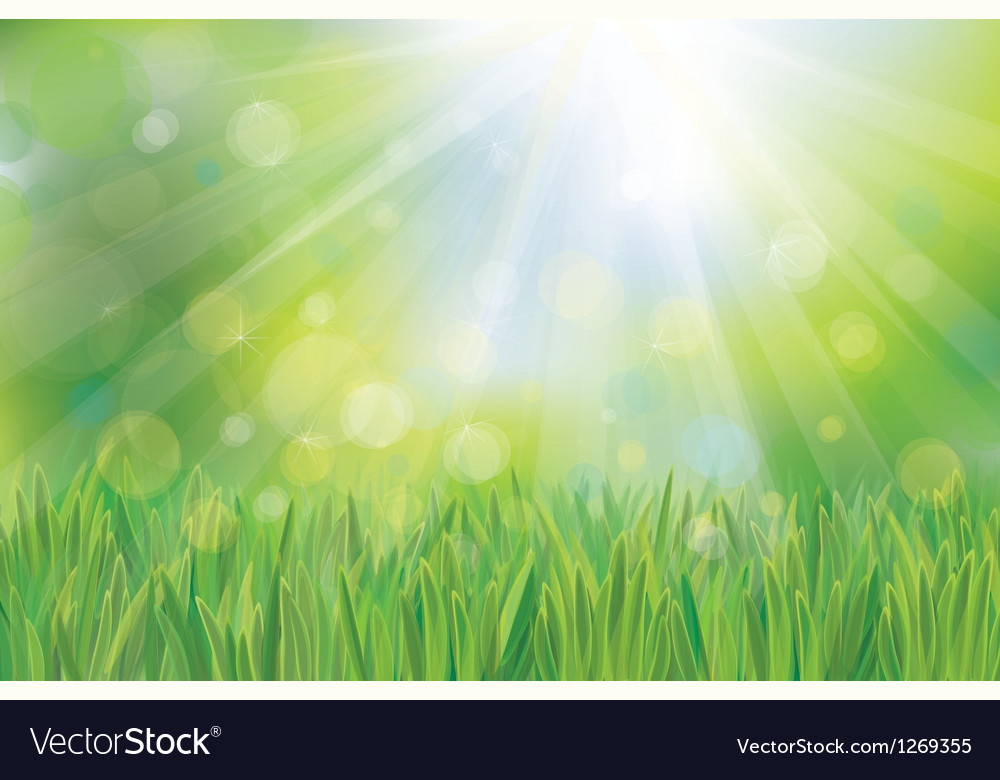 Spring Meadow Landscape