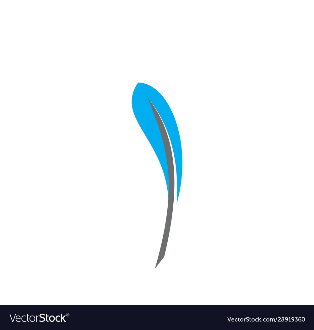 Feather icon on background for graphic and web vector image Feather icon on background for graphic and web