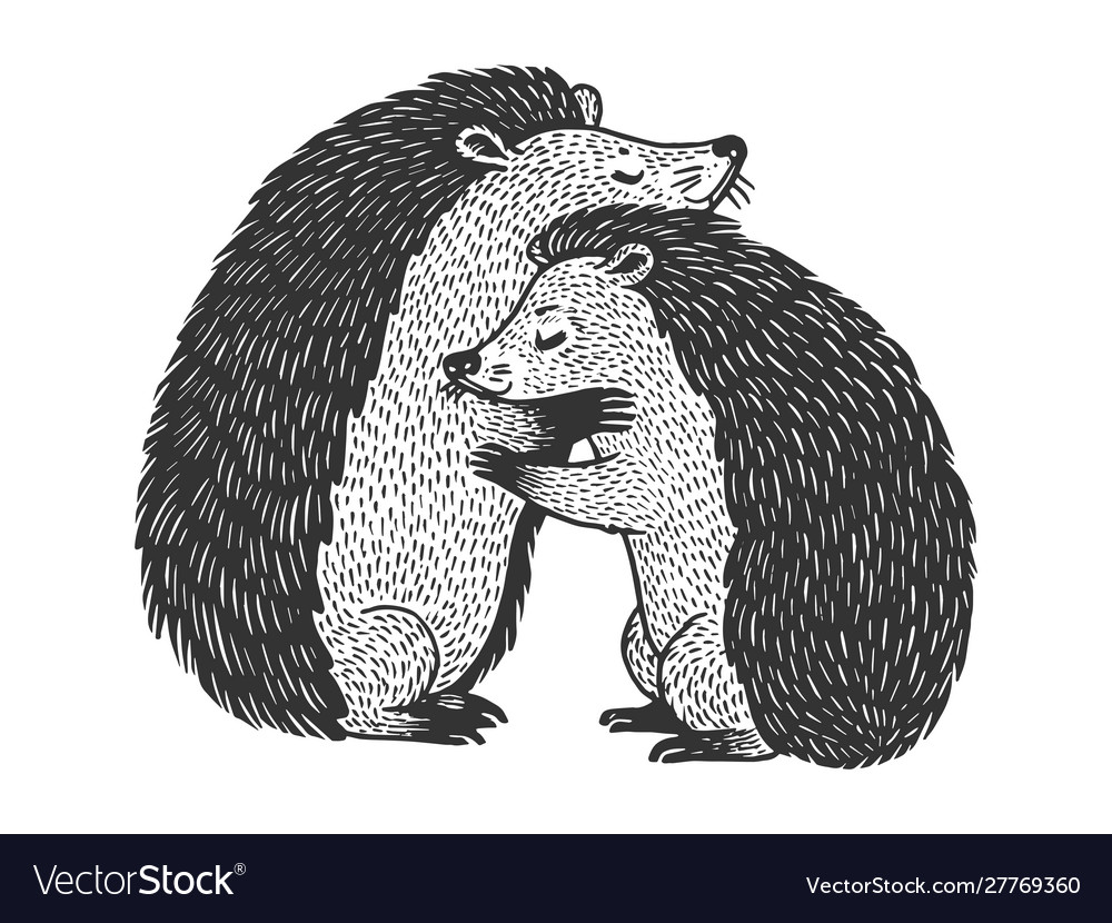 28 Collection Of Panda Hug Drawing  Hugging Pandas Png  Free Transparent  PNG Clipart Images Download