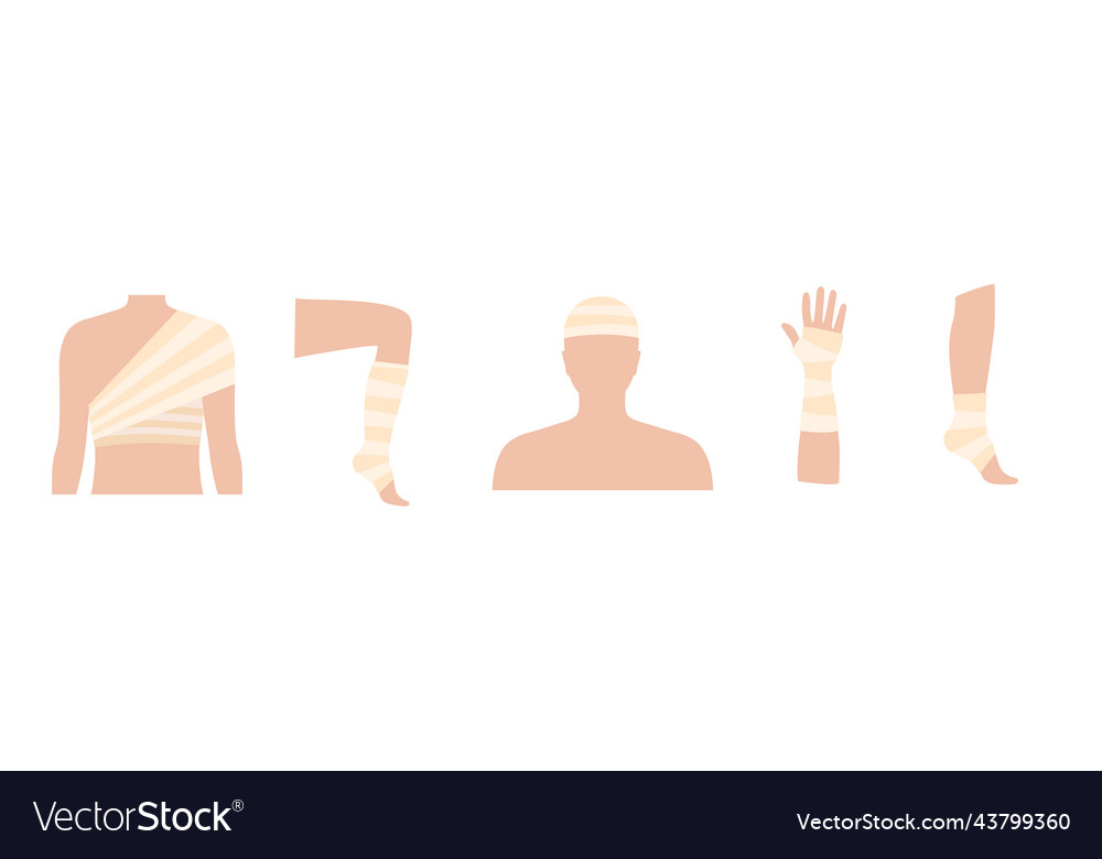 Human limbs trauma Royalty Free Vector Image - VectorStock