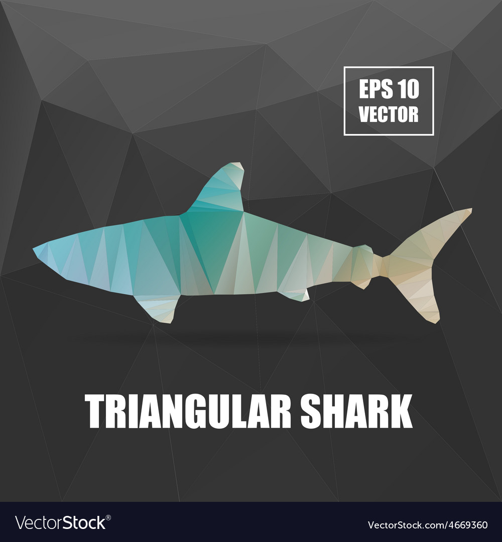 Polygonal Shark - Triangular Shape