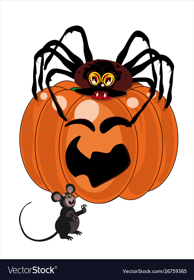 Eine Spinne kommt aus Kürbis und Narben Maus