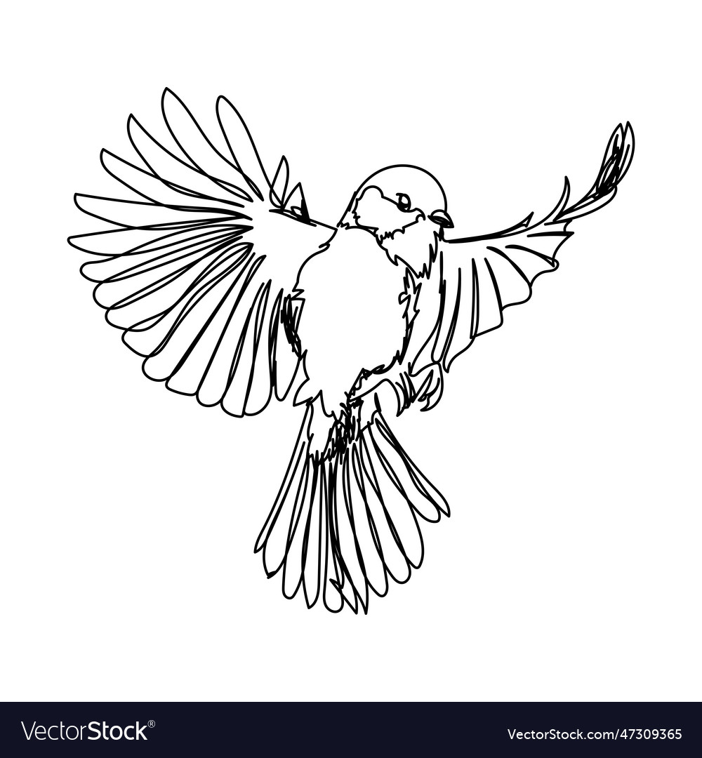 Bird vector image Bird