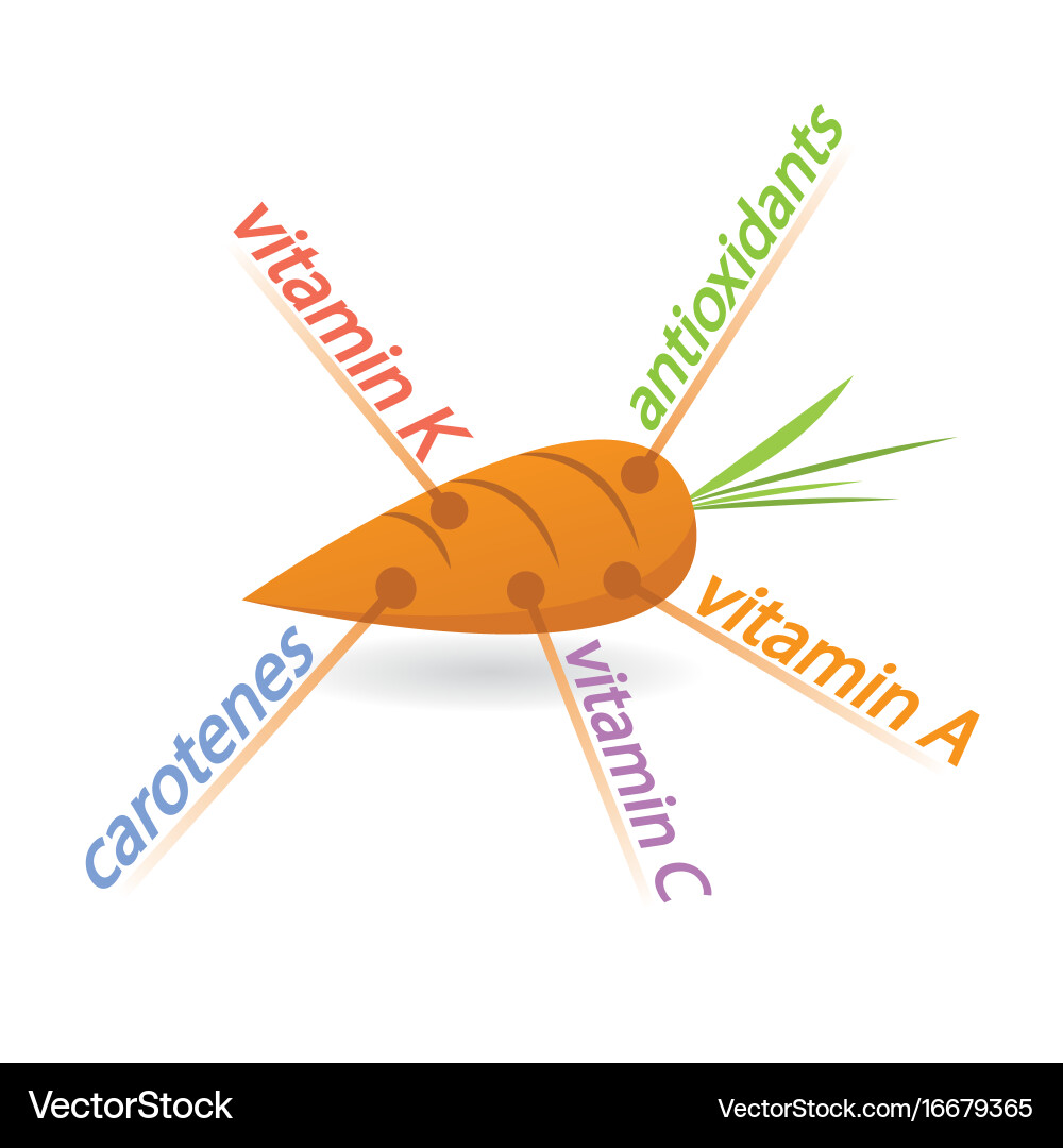 Carrot content properties and benefits Royalty Free Vector
