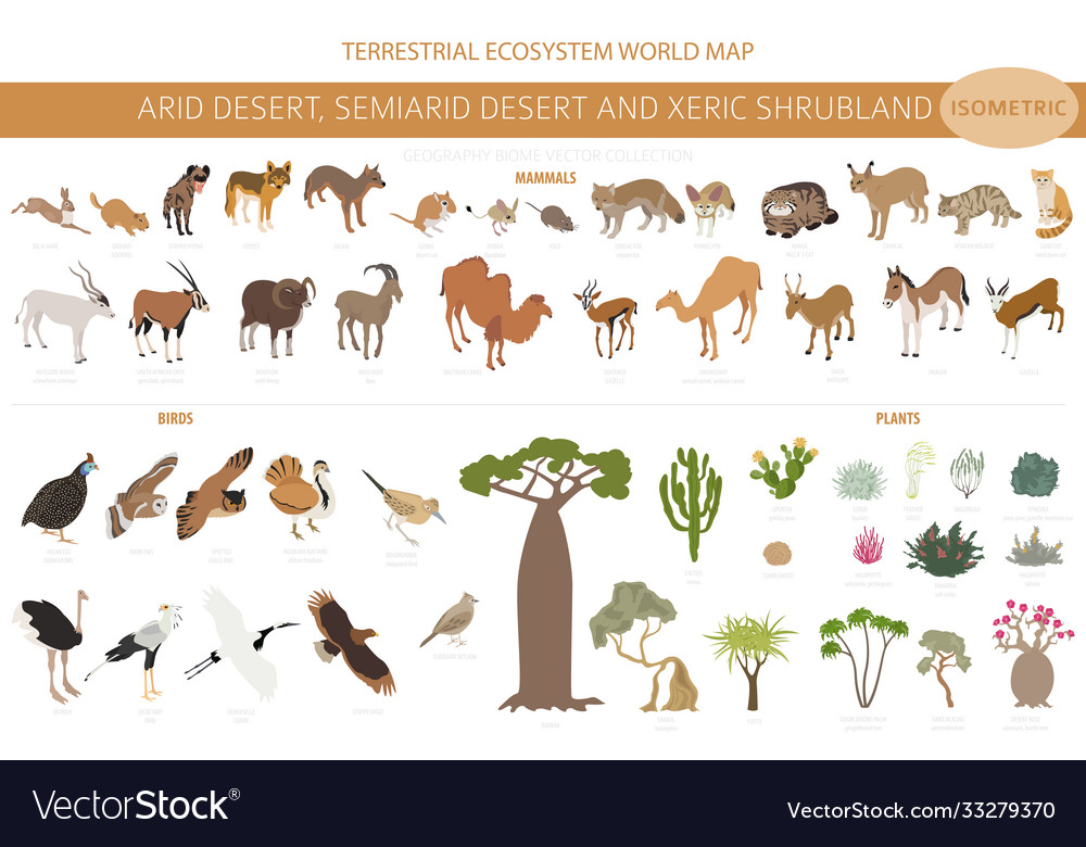 Desert biome xeric shrubland natural region Vector Image