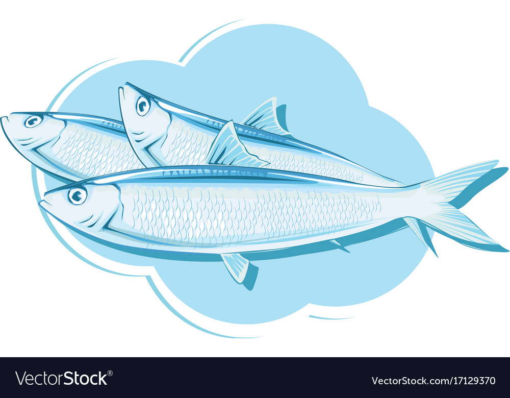 Sardine