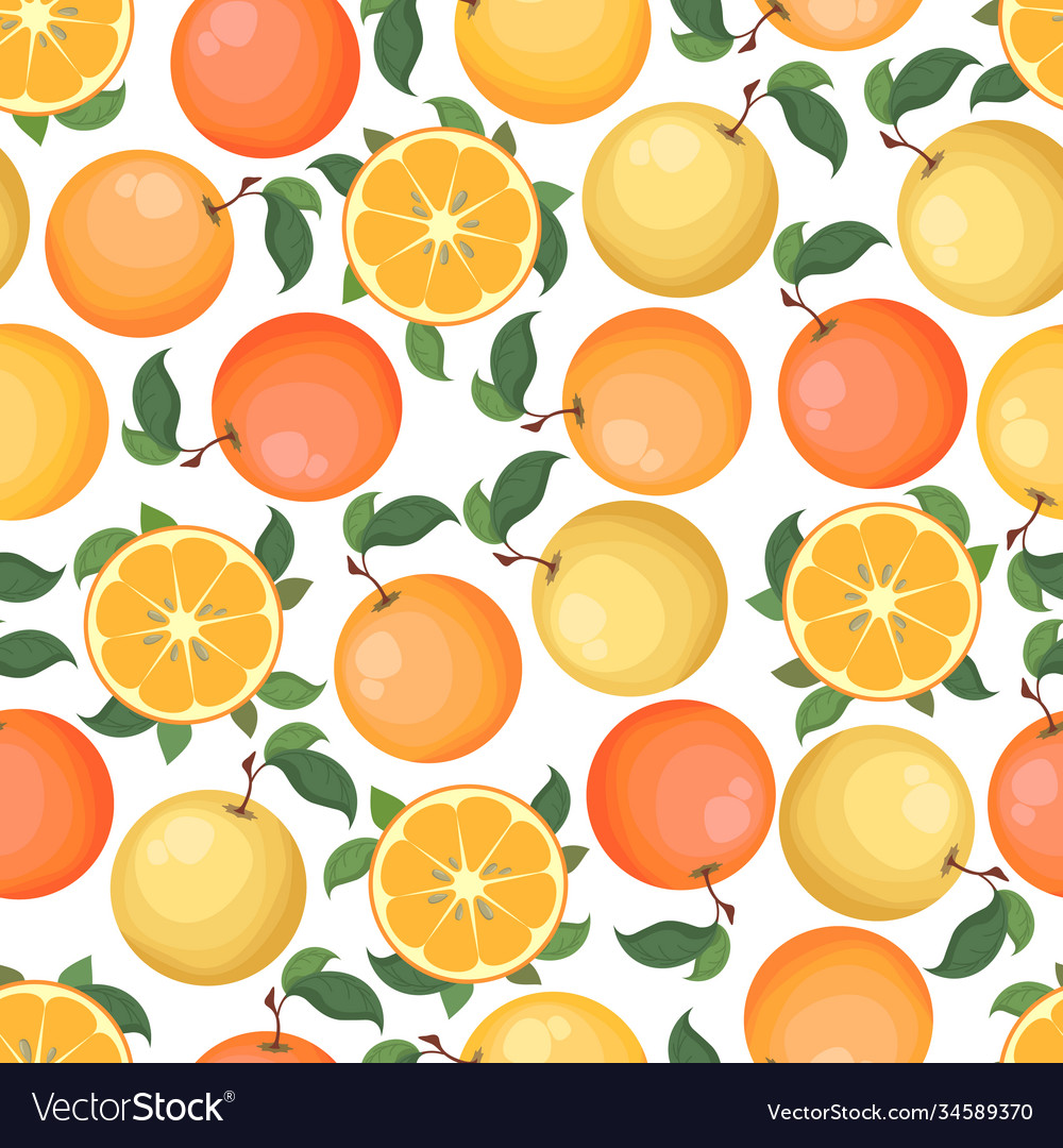 Seamless pattern with colorful oranges Vector Image Seamless pattern with colorful oranges