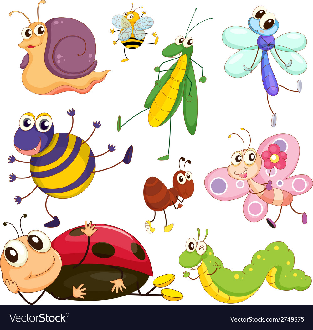 Different Insects Royalty Free Vector Image - Vectorstock