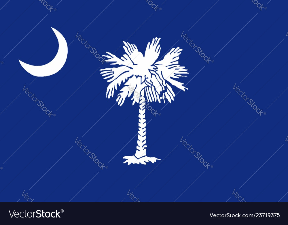 South carolina state flag Royalty Free Vector Image