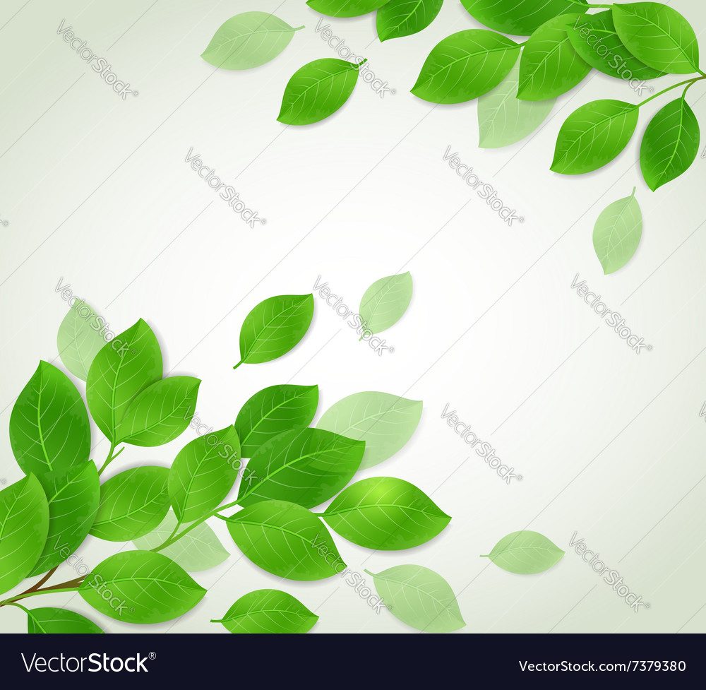 Abstract nature background