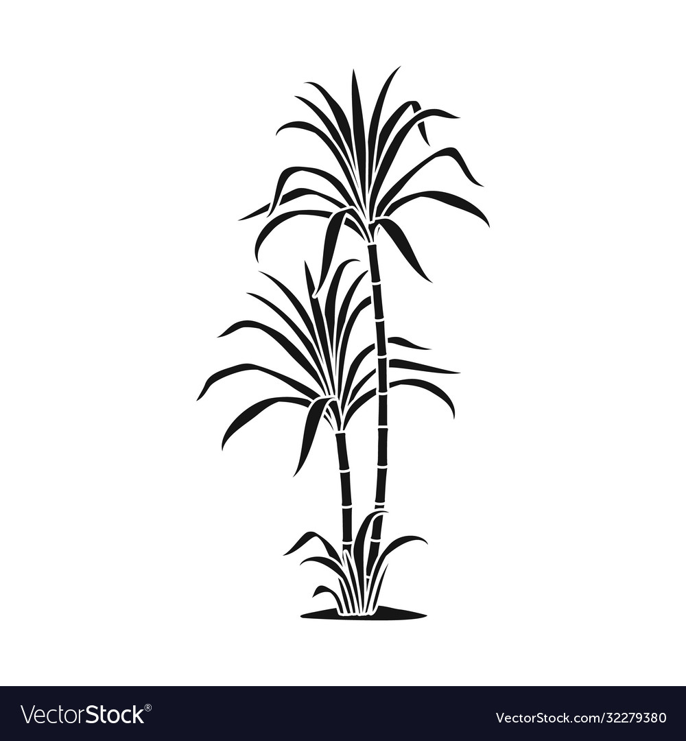Design palm and cane sign web element