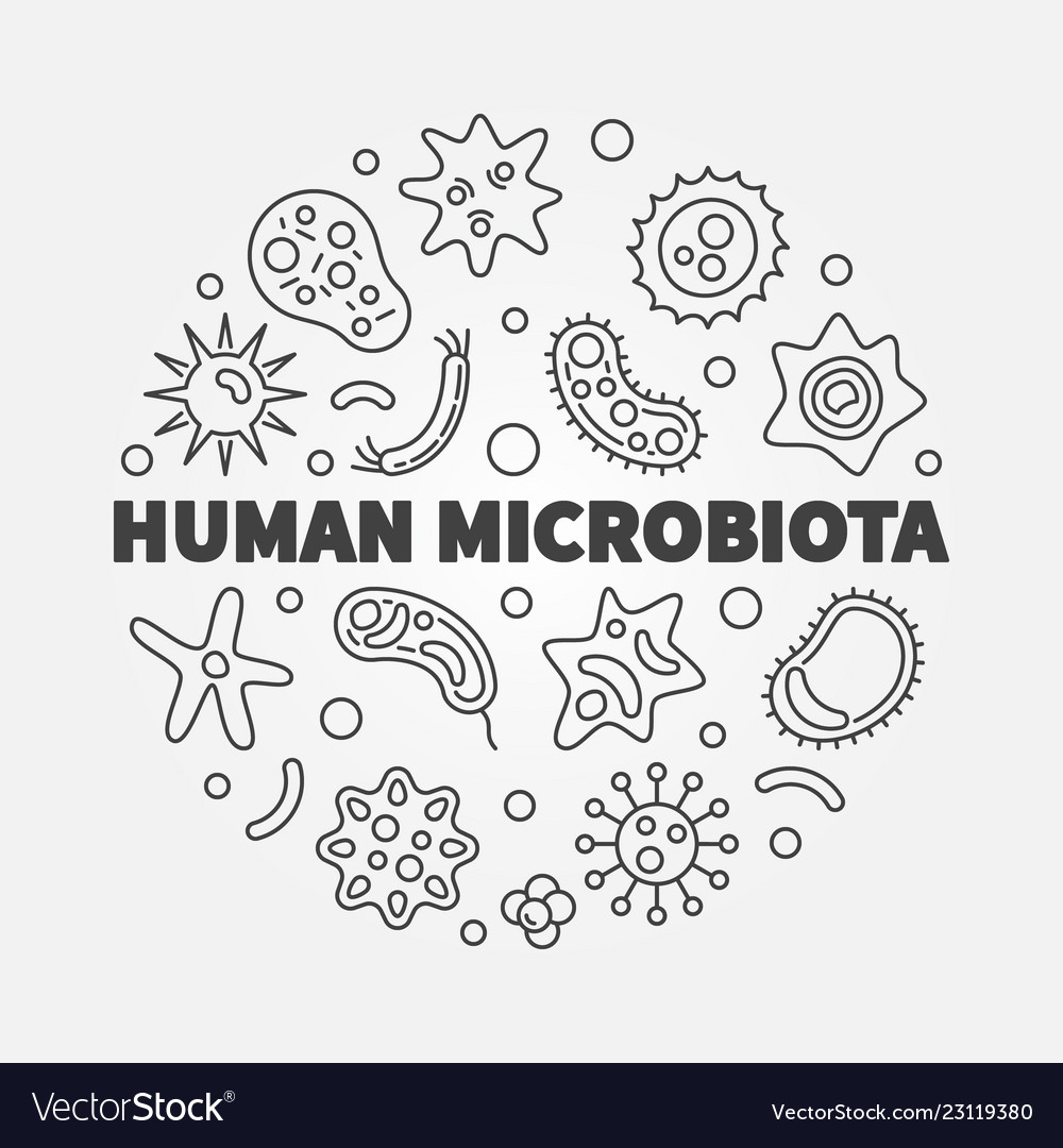 Human microbiota round Royalty Free Vector Image