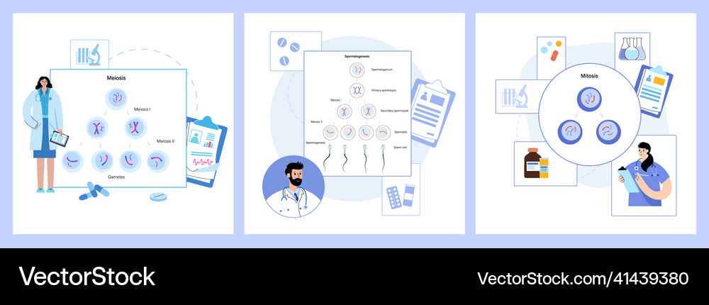 Mitosis process concept Royalty Free Vector Image