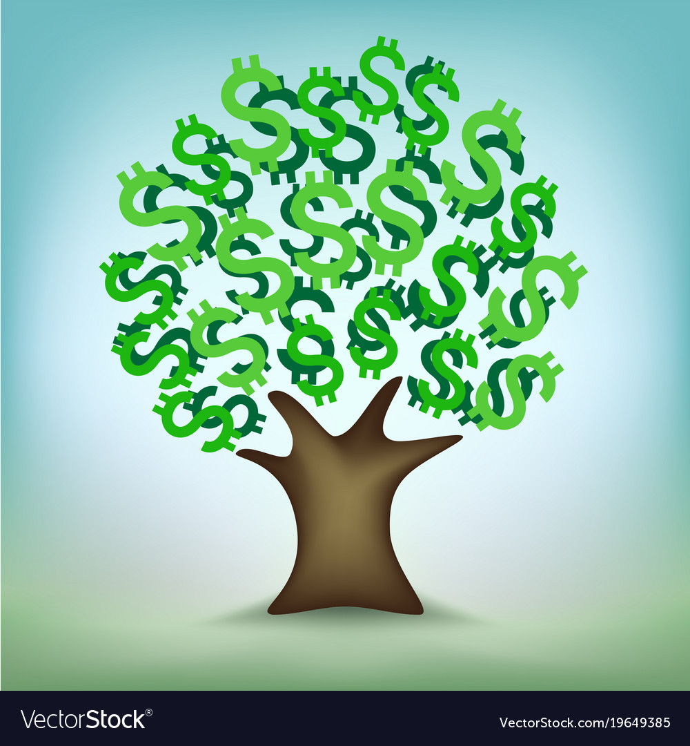 money tree leaves