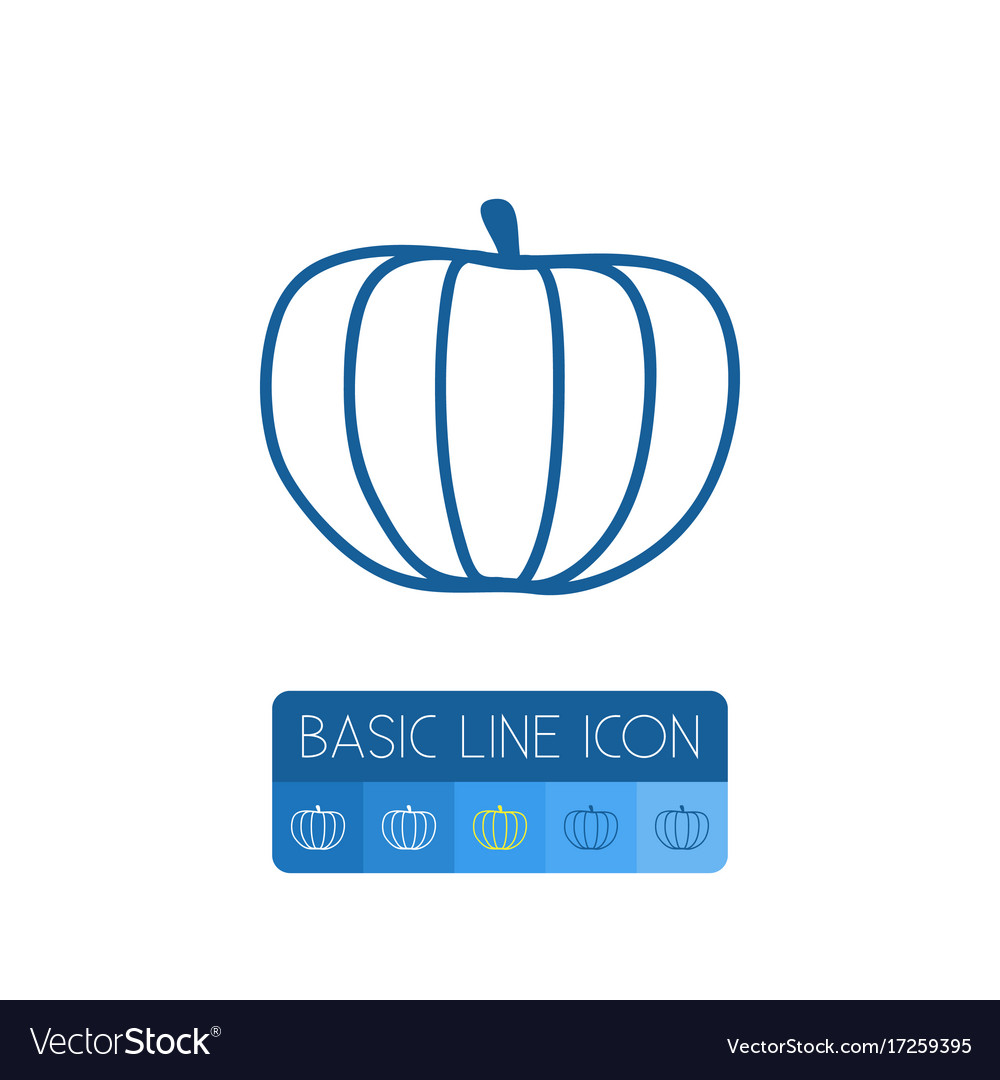 Isolated squash outline zucchini element