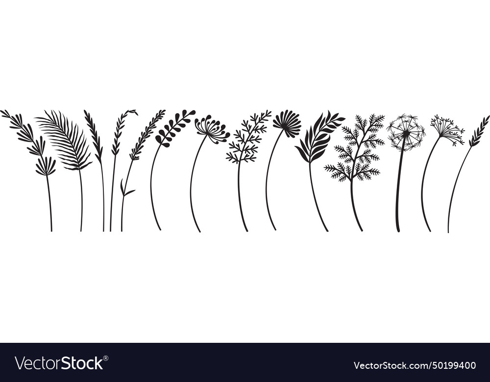 Wild flowers collection black and white Royalty Free Vector