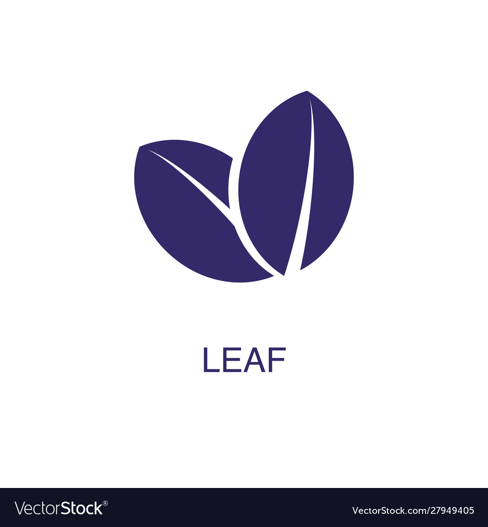 Leaf element in flat simple style on white