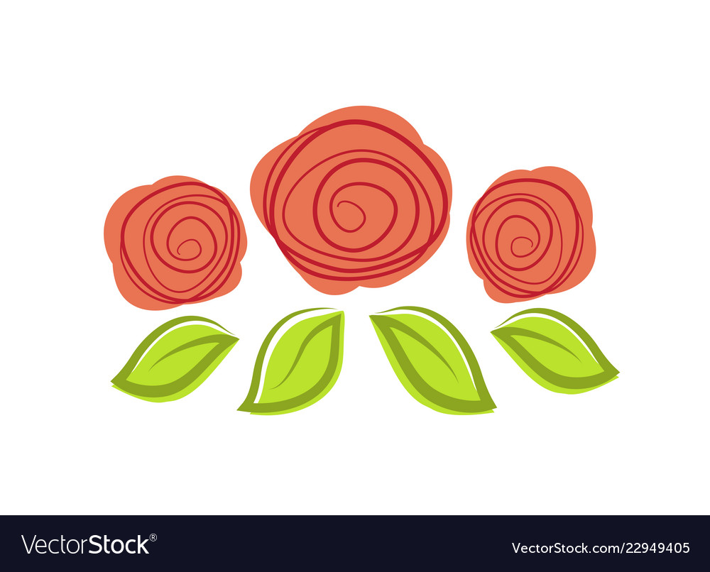 three red roses logo design template royalty free vector