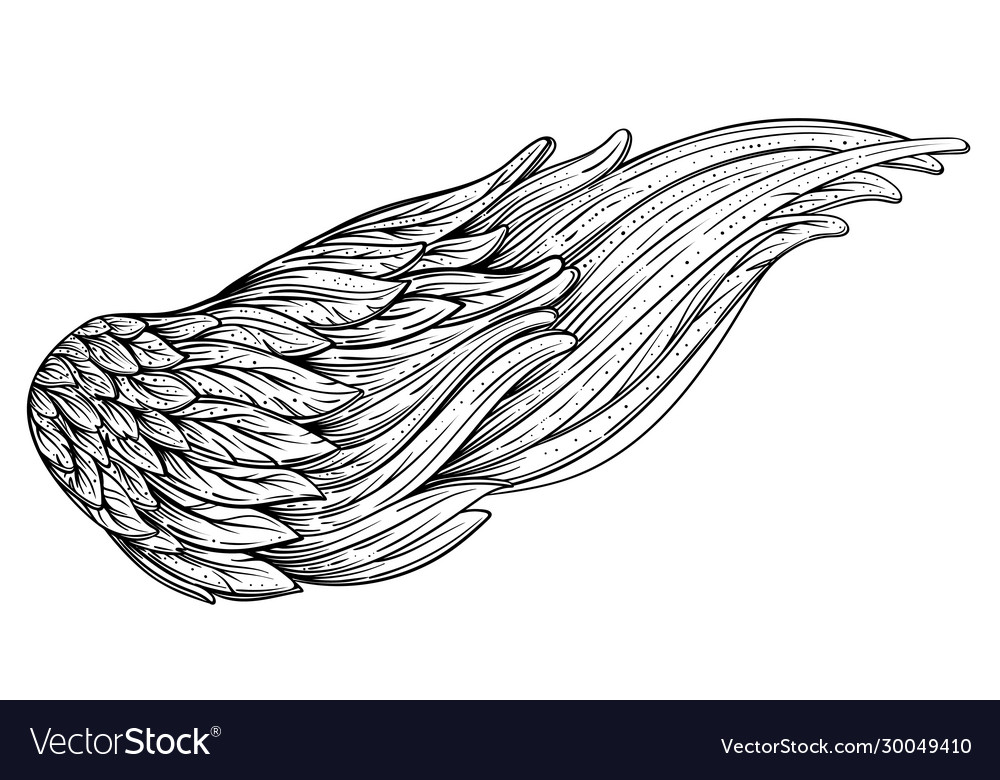 Angels wings ornamental baroque style element Vector Image Angels wings ornamental baroque style element Vector Image