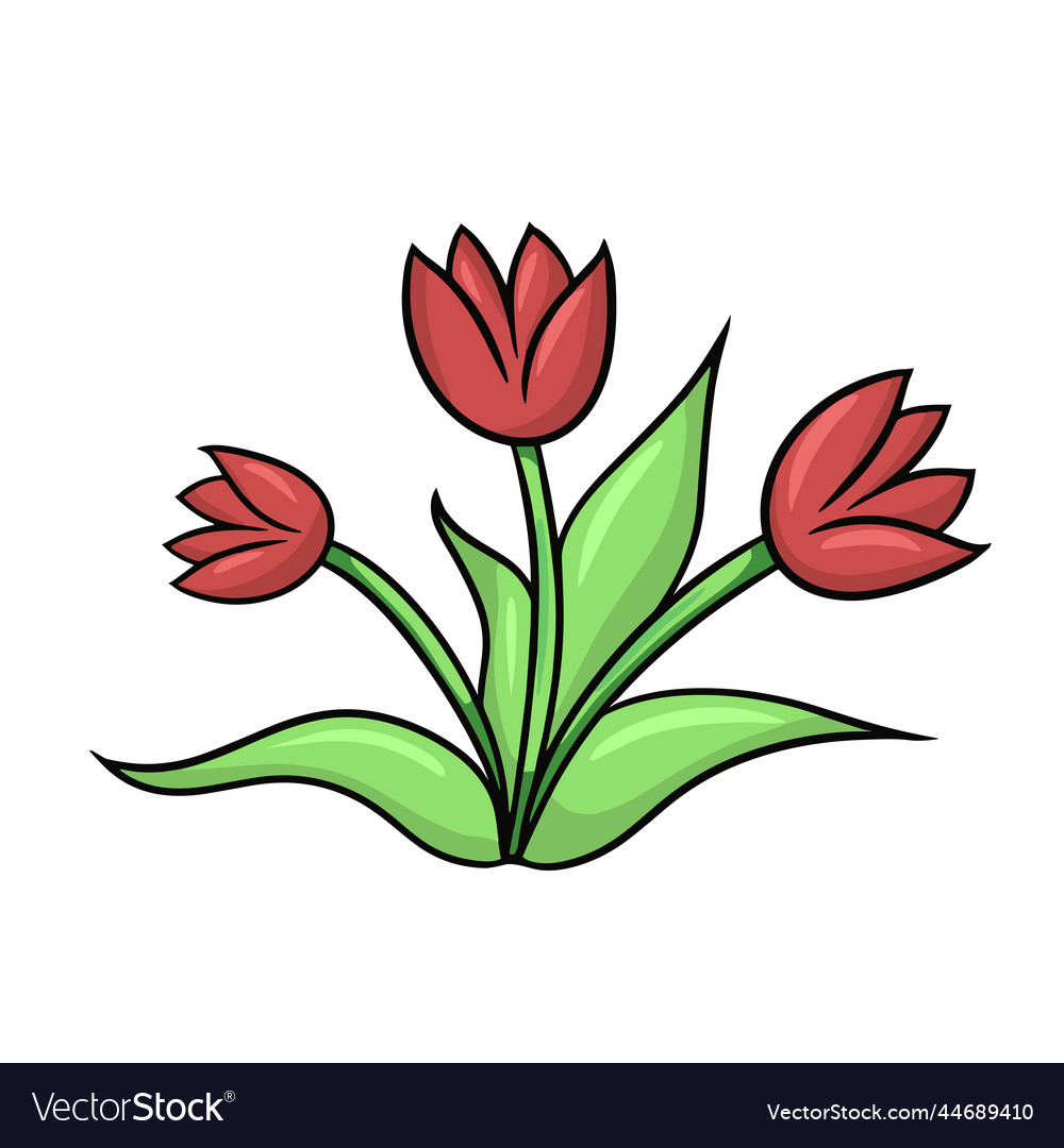 Bouquet of red tulips with leaves doodle cartoon