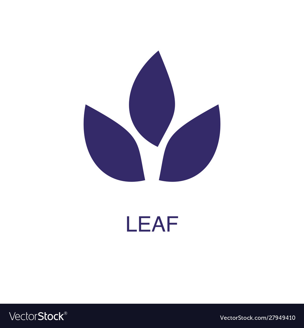 Leaf element in flat simple style on white