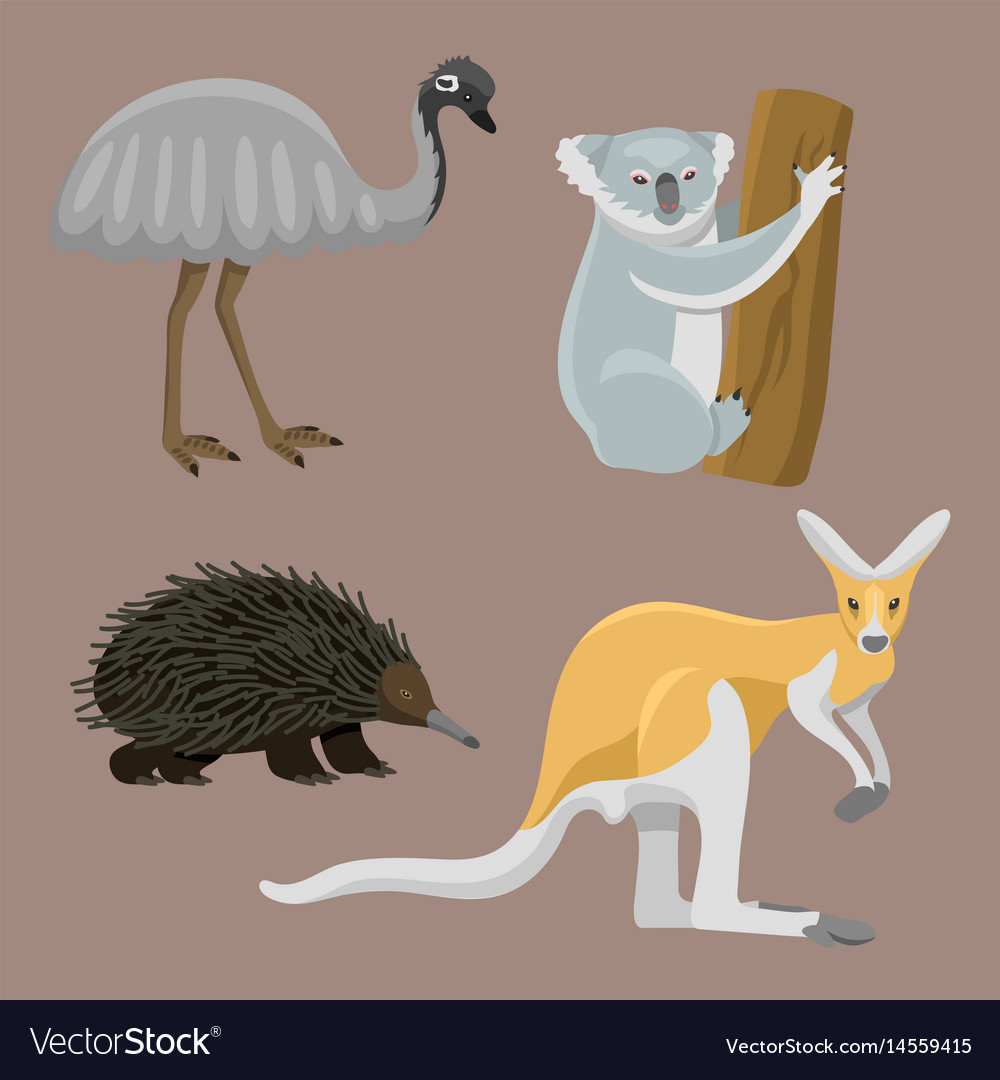 Australia wild animals cartoon popular nature Vector Image