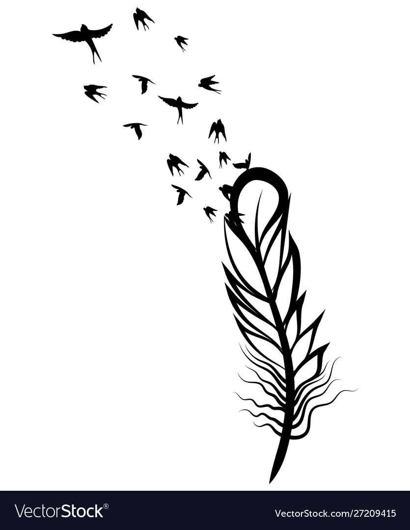 Feather and birds black and white Royalty Free Vector Image